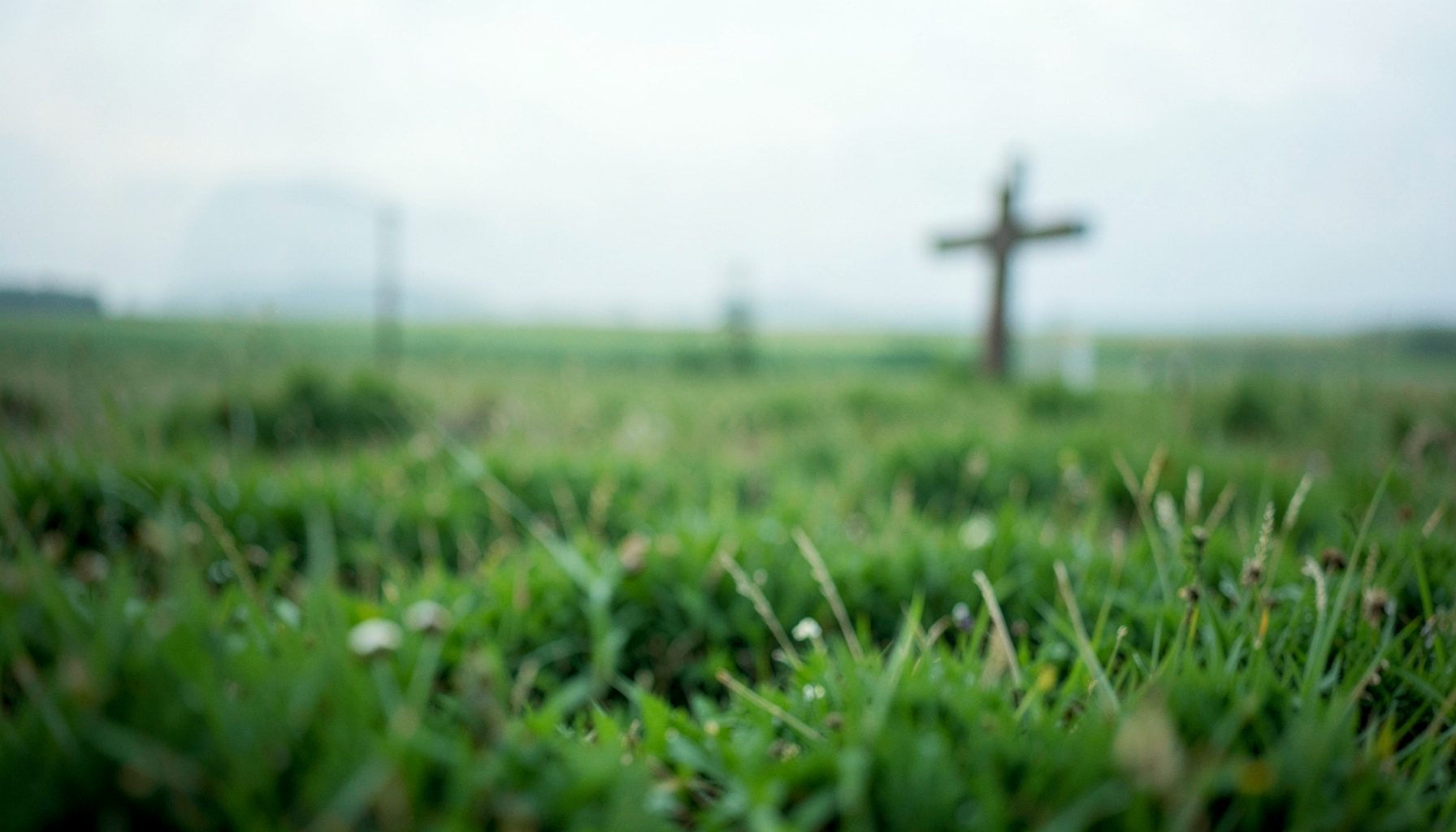 Soft focus photo of a green meadow with a wooden cross silhouette in the distance, gentle and reflective mood